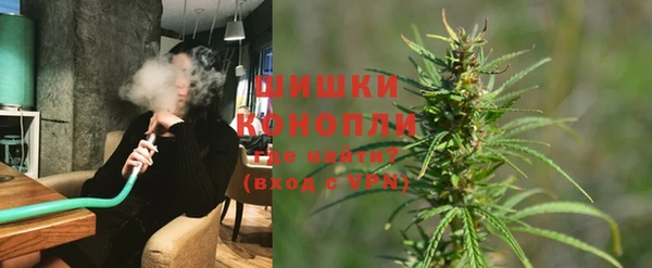 шишки Бронницы