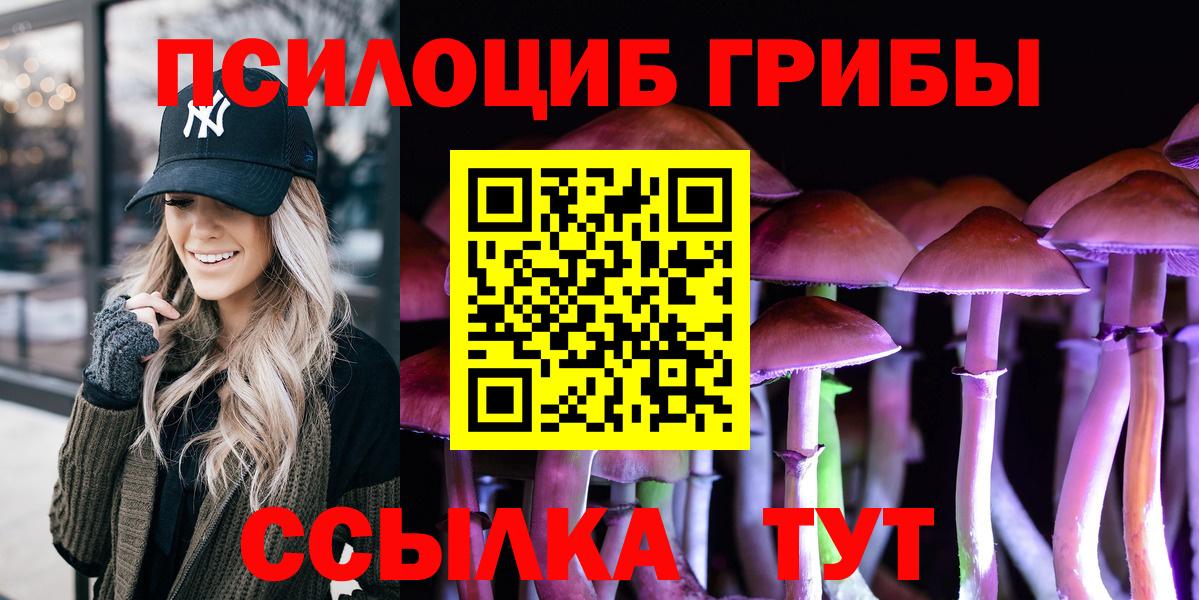 Псилоцибиновые грибы Cubensis Реутов