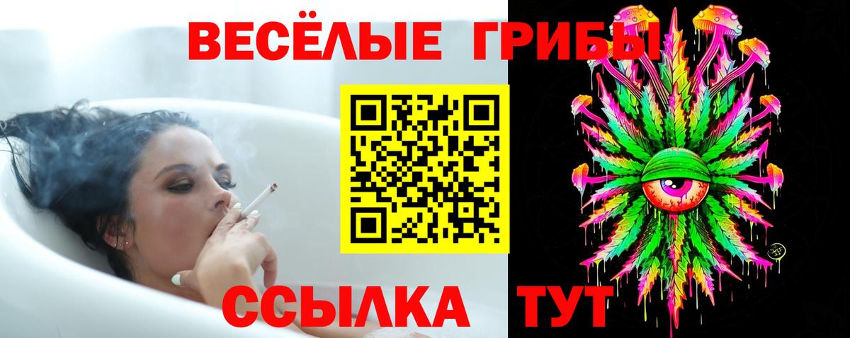 Галлюциногенные грибы Magic Shrooms  Реутов 