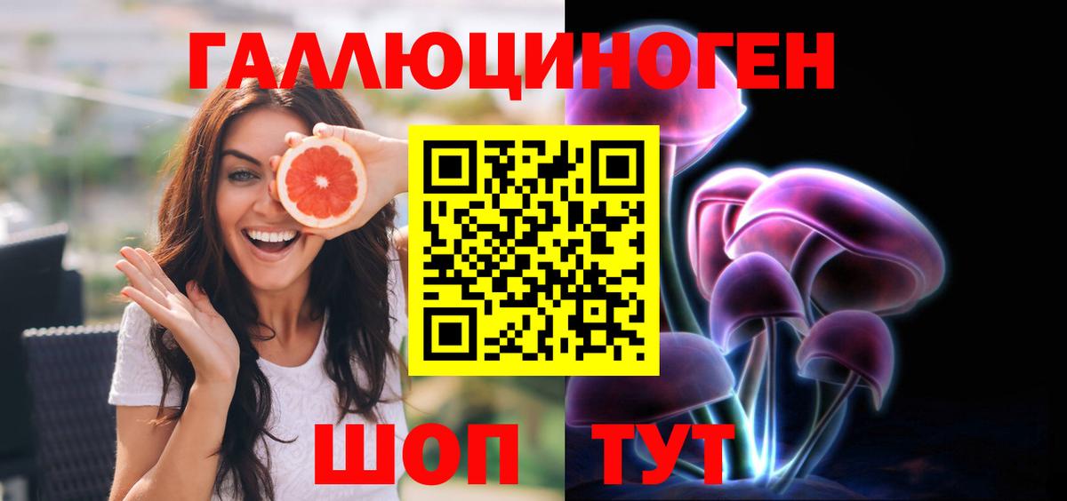 A-PVP Реутов